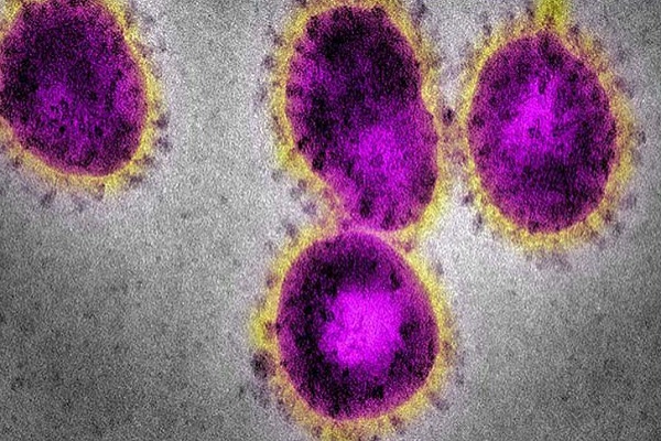 ترویج بیماری کرونا با ادعای طب اسلامی