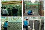 عکس | ضدعفونی آستان امام‌زاده حسین(ع) قزوین