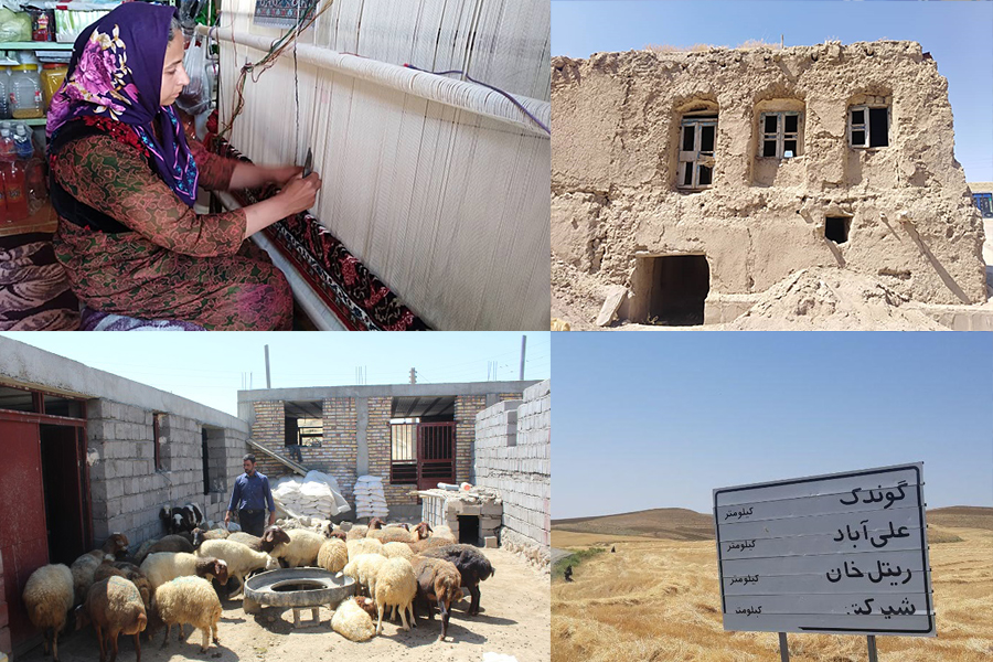 هفته پرخبر از ازدواج/ پیوند جهاد و رسانه