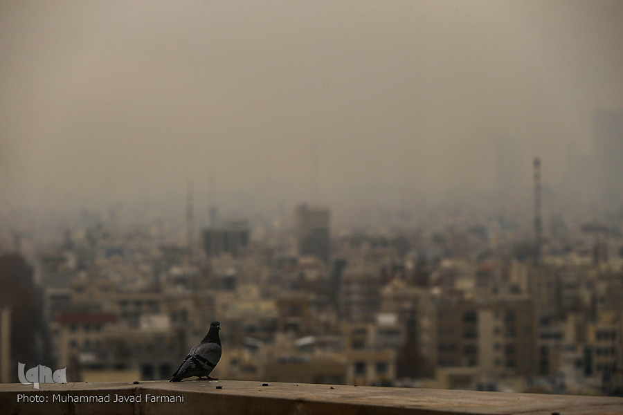 آلودگی هوای تهران دانشگاه‌ها را نیز تعطیل کرد