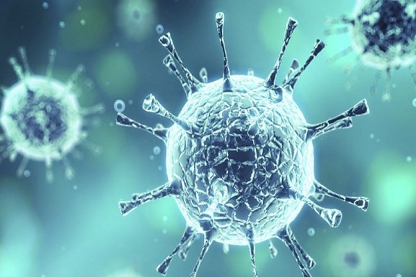 نتایج موفقیتآمیز واکسن کرونا و تجمع در فرودگاه دبی نتایج موفقیتآمیز واکسن کرونا و تجمع در فرودگاه دبی