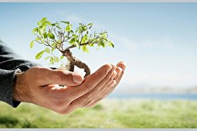 صدقه و تأثیر آن بر حل مشکلات اجتماعی