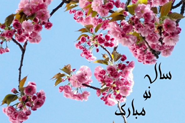 ویدئوکست | بارالها تحولمان را با شکوفایی همسو کن