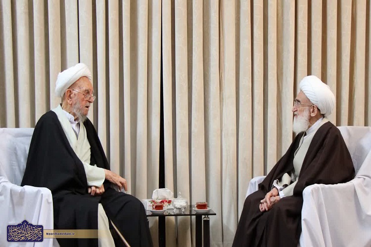 آیت‌الله امینی عالمی خدوم و با اخلاص و یک روحانی ممتاز بود 