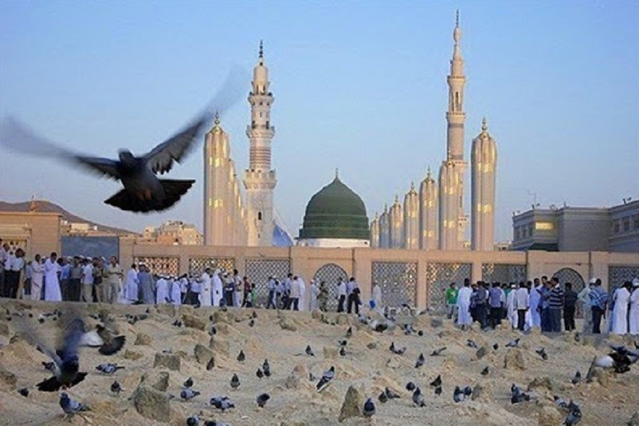 صوت | سلام من به مدینه