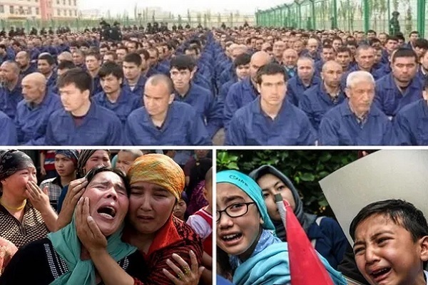 عکس مربوط به برنامه اضافه شود//تبعیض علیه اقلیت‌های مسلمان، مایه شرم سازمان‌های بین‌المللی است