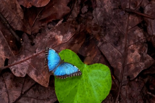 زمانی که شرایط شکوفایی علم فراهم خواهد شد