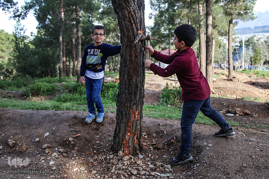 سیزده فروردین///چگونگی نگاه قرآن به طبیعت