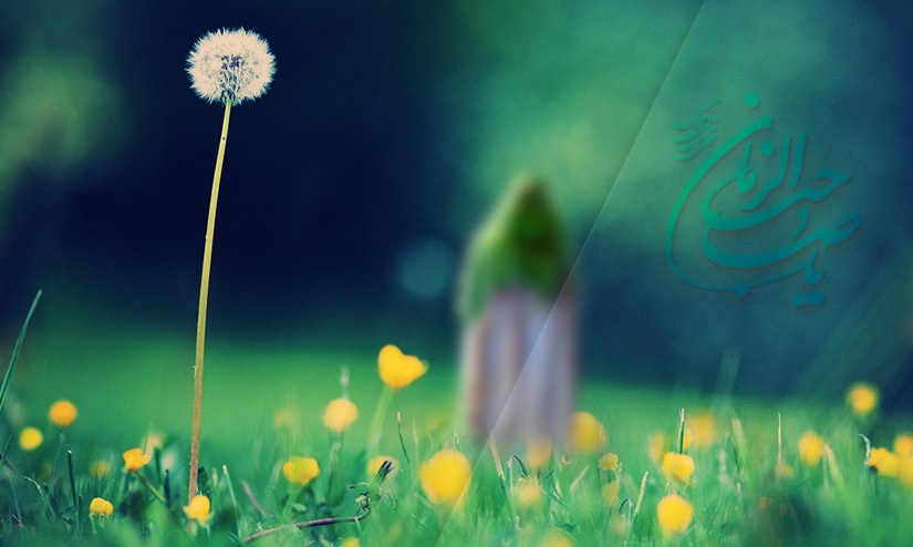 انتظار صالحانه و فعالانه