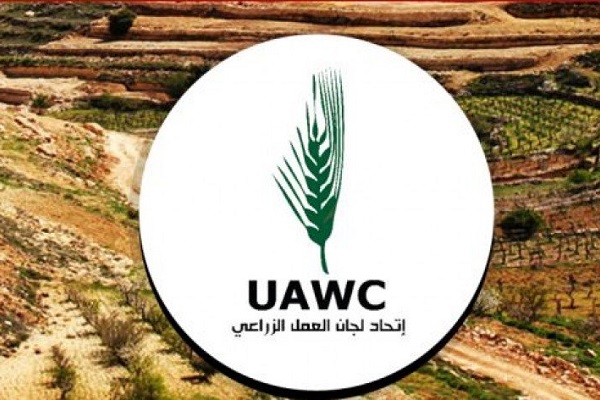 مشکلات 20 هزار خانواده فلسطینی با توقف کمک‌های هلند