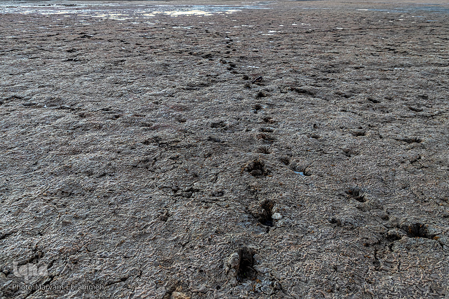 بحران آب چگونه در ایران به وجود آمد؟ ما اسراف میکنیم محیط زیست تاوان میدهد بحران آب چگونه در ایران به وجود آمد؟ ما اسراف میکنیم محیط زیست تاوان میدهد