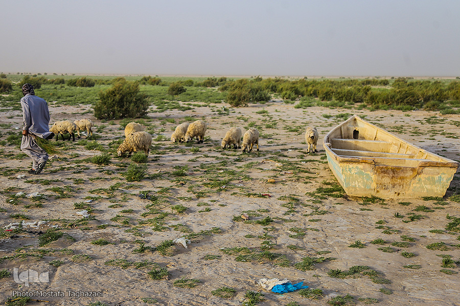 چرا در ایران مدام سیل می‌آید/ خشکسالی را باور کنیم با روان‌آب‌ها را