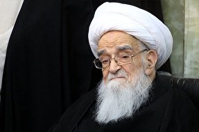 دقت نظر و پای کار بودن آیت‌الله صافی گلپایگانی درس‌آموز است