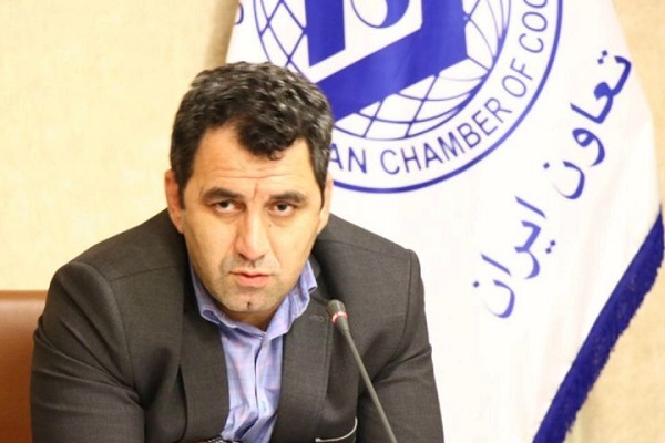 رضا وفایی یگانه رضا وفایی یگانه