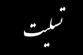 ولایتی درگذشت آیت‌الله حکیم را تسليت گفت