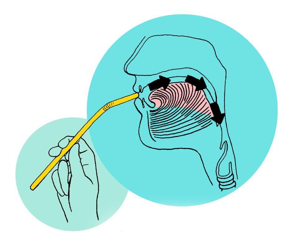 گرم کردن صدا با نی