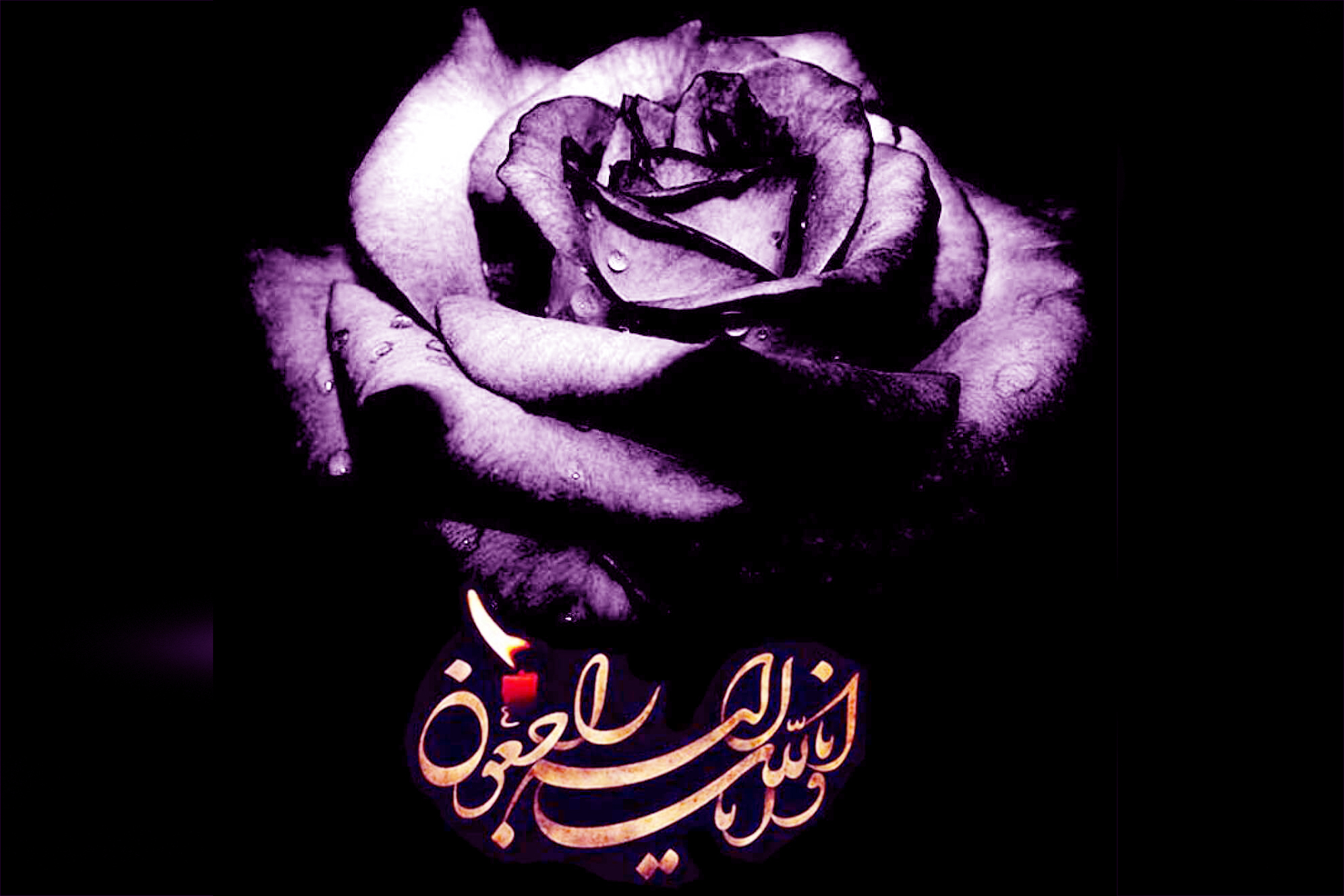 در اندوه فقدان «آسیه ابراهیمی» حافظ کل قرآن و معلم جوان بوشهری