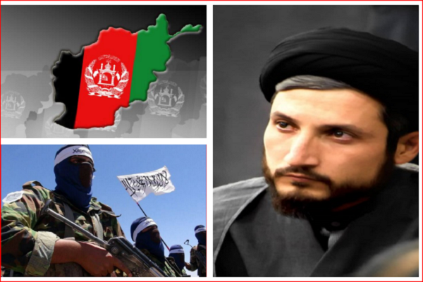 سید زهیر مجاهد