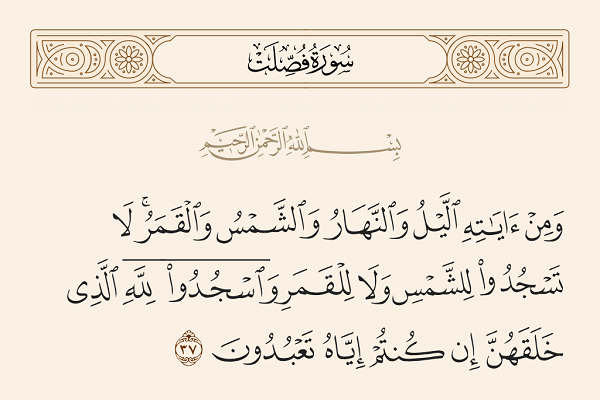آماده//فیلم | فرازی از تلاوت مجلسی محمود شحات آماده//فیلم | فرازی از تلاوت مجلسی محمود شحات