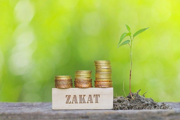 نگاهی به اقدامات خلاقانه خیریه‌های اسلامی با هدف کمک به جوامع