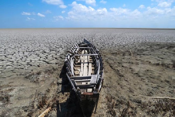 خانم بختیاری لطفا تایید بفرمایید/ حال و روز مشابه جامعه خبری و محیط زیست ایران/ عزیزان بیجایگزین از دست داده