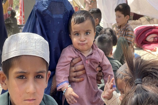 گزارش تصویری