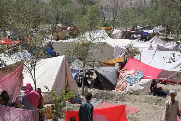 گزارش تصویری