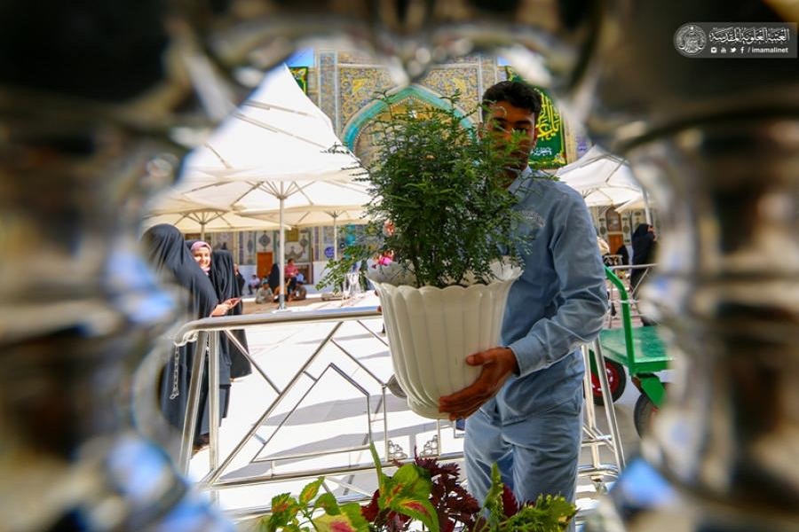 تصاویری از گل آرایی حرم علوی به مناسبت فرارسیدن ولادت پیامبر(ص)