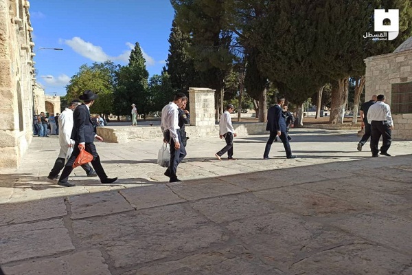 ورود غیرقانونی 3597 صهیونیست به مسجدالاقصی / هشدار درباره وضعیت بحرانی قبله نخست ورود غیرقانونی 3597 صهیونیست به مسجدالاقصی / هشدار درباره وضعیت بحرانی قبله نخست