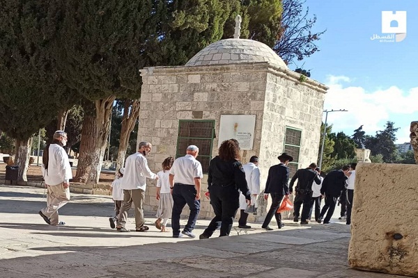 ورود غیرقانونی 3597 صهیونیست به مسجدالاقصی / هشدار درباره وضعیت بحرانی قبله نخست ورود غیرقانونی 3597 صهیونیست به مسجدالاقصی / هشدار درباره وضعیت بحرانی قبله نخست