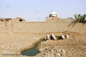 فیلم | تراژدی شادگان