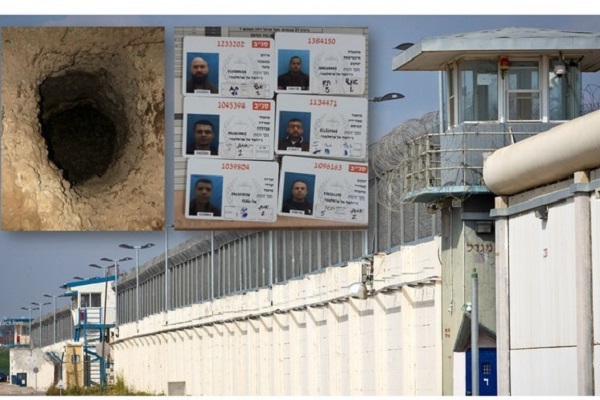 زندان جلبوع 