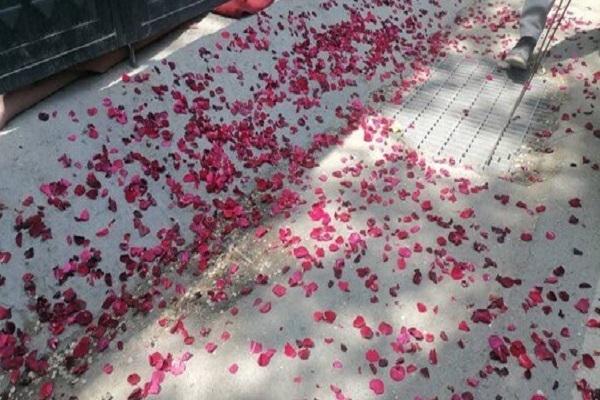 حمایت از همدلی مردم دو کشور با اهدای گل به سفارت ایران در کابل