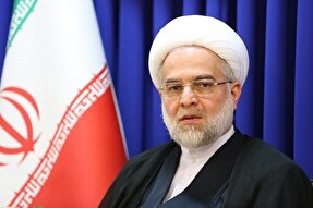 دلسوزی امام حسن(ع) نسبت به دردمندان جامعه