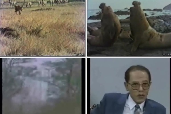 مصطفی محمود: سیری از آستانه الحاد تا تلاش برای فهم علم با ایمان مصطفی محمود: سیری از آستانه الحاد تا تلاش برای فهم علم با ایمان