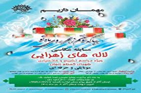 مسابقه عکاسی «لاله‌های زهرایی» در زنجان برگزار می‌شود