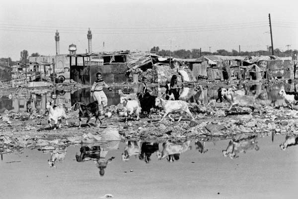 انقلاب اسلامی ایران ریشه‌ها و علل بقا از نگاه دیگران