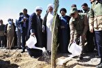 عکس | مراسم روز درختکاری در کرمان