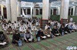 عکس | محفل انس با قرآن در مسجد‌النبی(ص) نداجا بوشهر