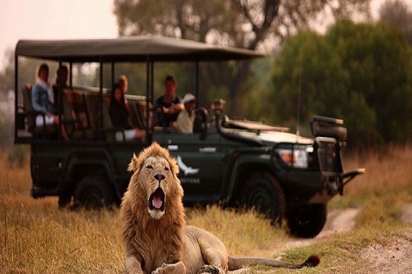 تلاش بوتسوانا برای جذب گردشگران خاورمیانه از طریق گردشگری حلال