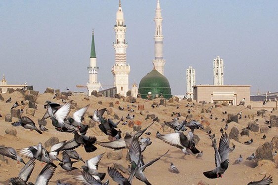 تکرار مداوم تخریب بقیع در جهان اسلام