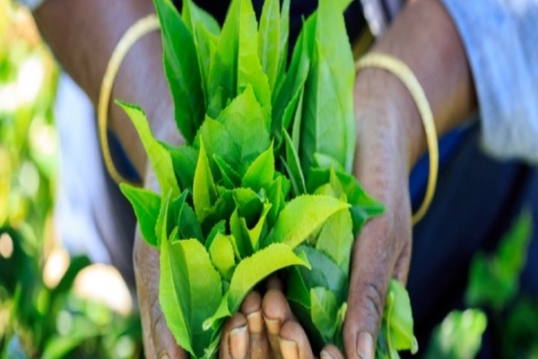 نوآوری&zwnj;های صنعت حلال سریلانکا در میانه بحران اقتصادی