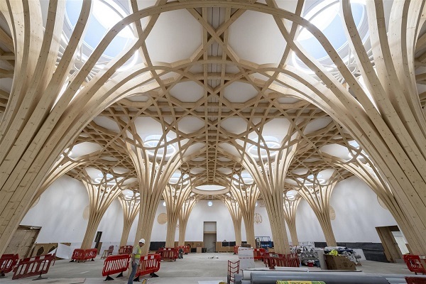 نقش اسلام در جنبش زیست محیطی/آماده نقش اسلام در جنبش زیست محیطی/آماده