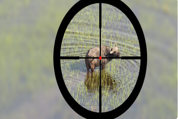 نگاهی به پتانسیل بالای گوشت شکار حلال در جهان نگاهی به پتانسیل بالای گوشت شکار حلال در جهان