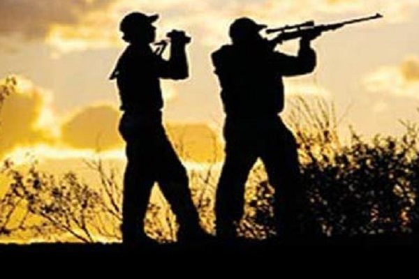 نگاهی به پتانسیل بالای گوشت شکار حلال در جهان نگاهی به پتانسیل بالای گوشت شکار حلال در جهان