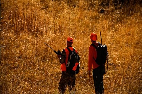 ظرفیت بالای گوشت شکار حلال در جهان ظرفیت بالای گوشت شکار حلال در جهان