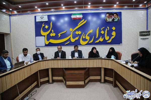 بررسی نرخ کاهش رشد جمعیت در نشست «حمایت از خانواده و جوانی جمعیت»