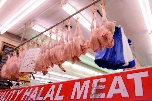 حامیان حقوق حیوانات و افزودن اضافهکردن نوع ذبح به برچسب حلال حامیان حقوق حیوانات و افزودن اضافهکردن نوع ذبح به برچسب حلال