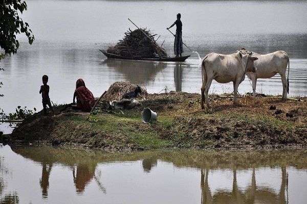 کاهش خرید دام عید قربان در هند کاهش خرید دام عید قربان در هند