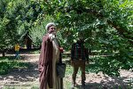جشن شکرانه برداشت میوه در البرز